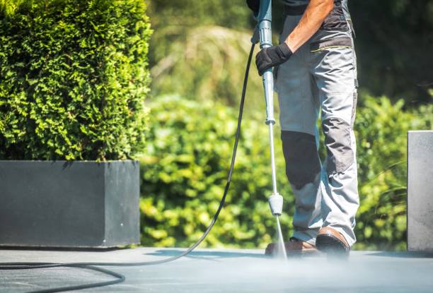 Best Gutter Cleaning  in Combine, TX